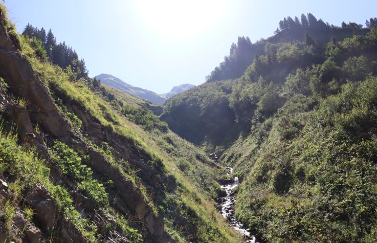 Berglandschaft bei Sommerwetter